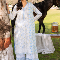 lawn embroidery dress