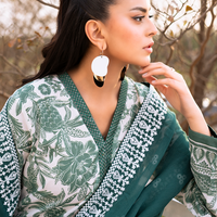 embroidered lawn dresses